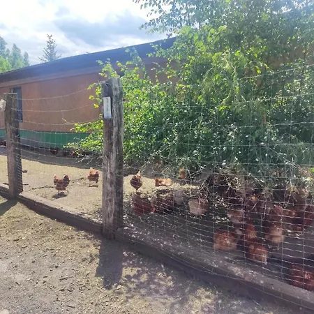 Am Hofladen Hellendorf - Saechsische Schweiz By Interhome Apartamento *