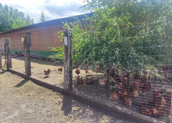 Am Hofladen Hellendorf - Saechsische Schweiz By Interhome Apartment *